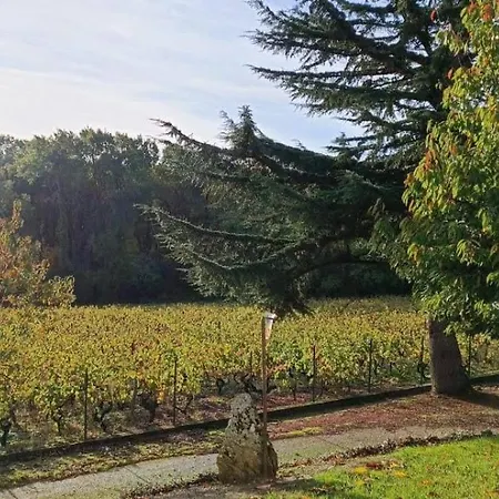 Pleine Nature, 10 Min Zoo Beauval Mareuil Sur Cher Exterior photo