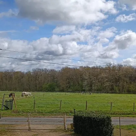 Pleine Nature, 10 Min Zoo Beauval Mareuil Sur Cher Exterior photo