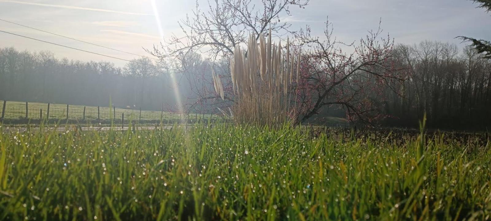 Pleine Nature, 10 Min Zoo Beauval Sur Cher Holiday home