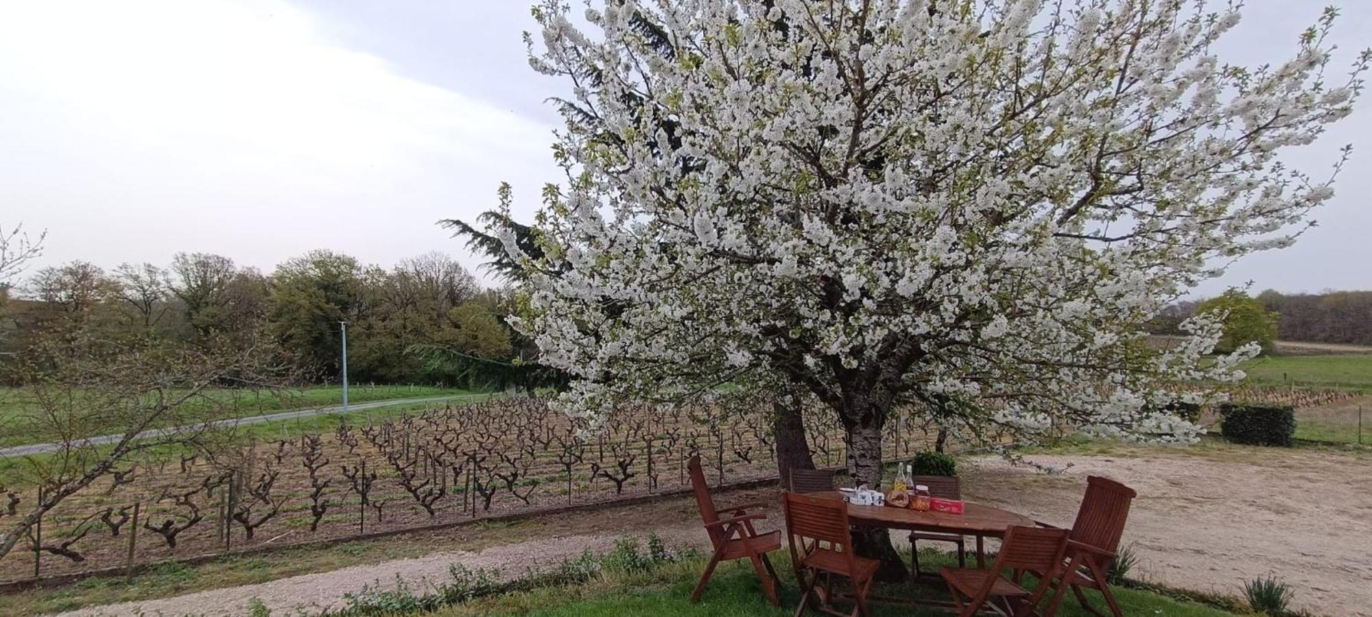 Holiday home Pleine Nature, 10 Min Zoo Beauval Sur Cher Mareuil-sur-Cher