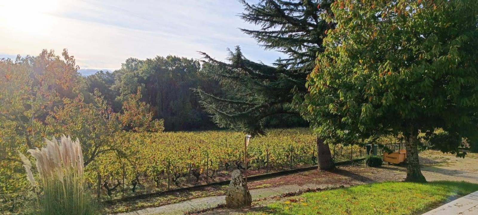 Pleine Nature, 10 Min Zoo Beauval Sur Cher Holiday home Mareuil-sur-Cher