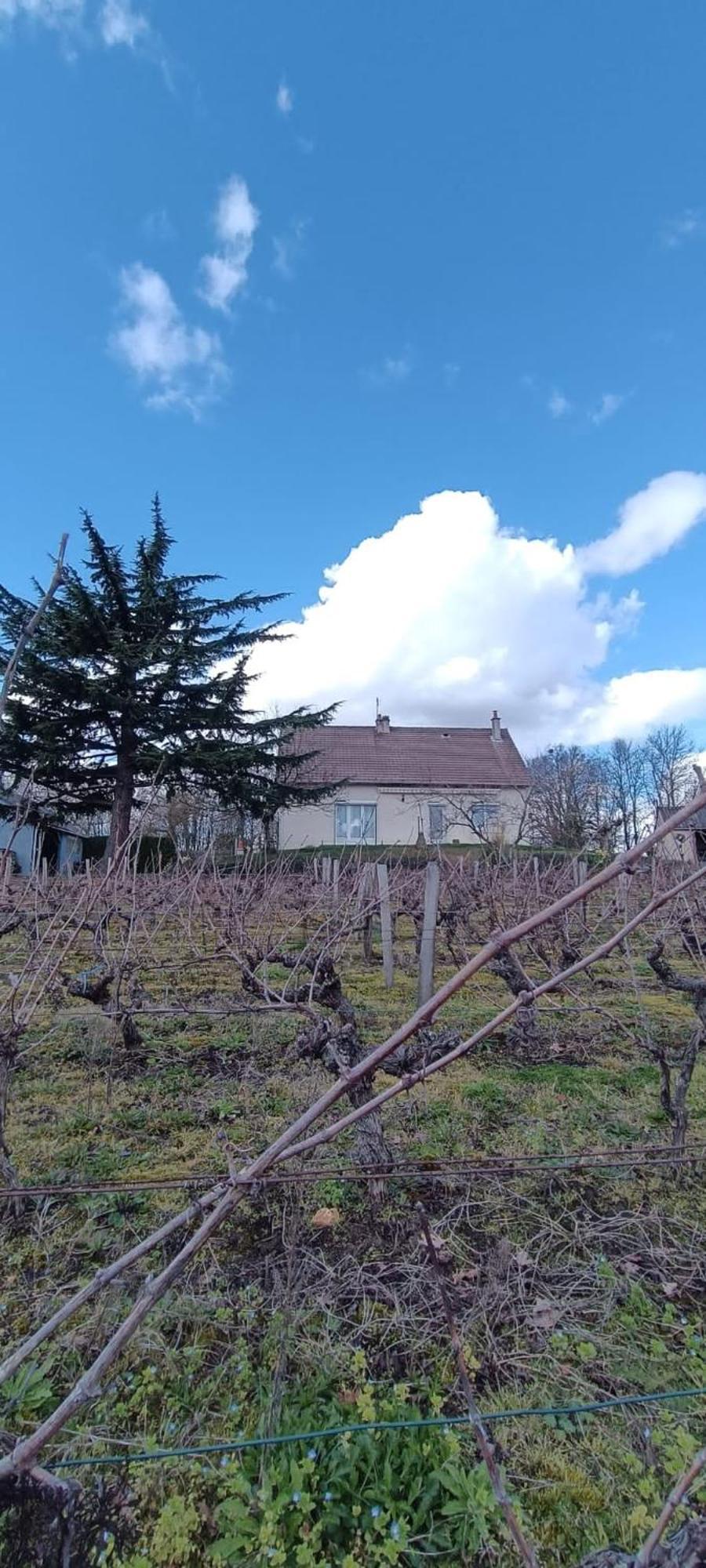 Pleine Nature, 10 Min Zoo Beauval Sur Cher Holiday home Mareuil-sur-Cher