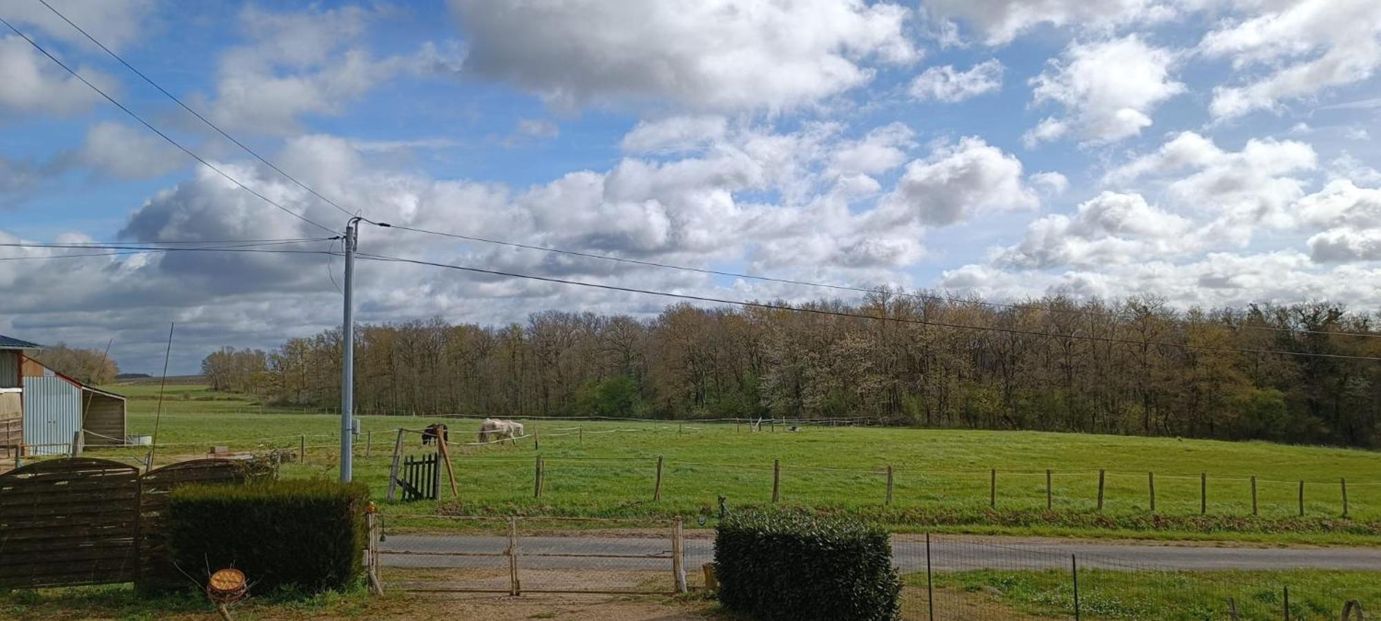 Holiday home Pleine Nature, 10 Min Zoo Beauval Sur Cher