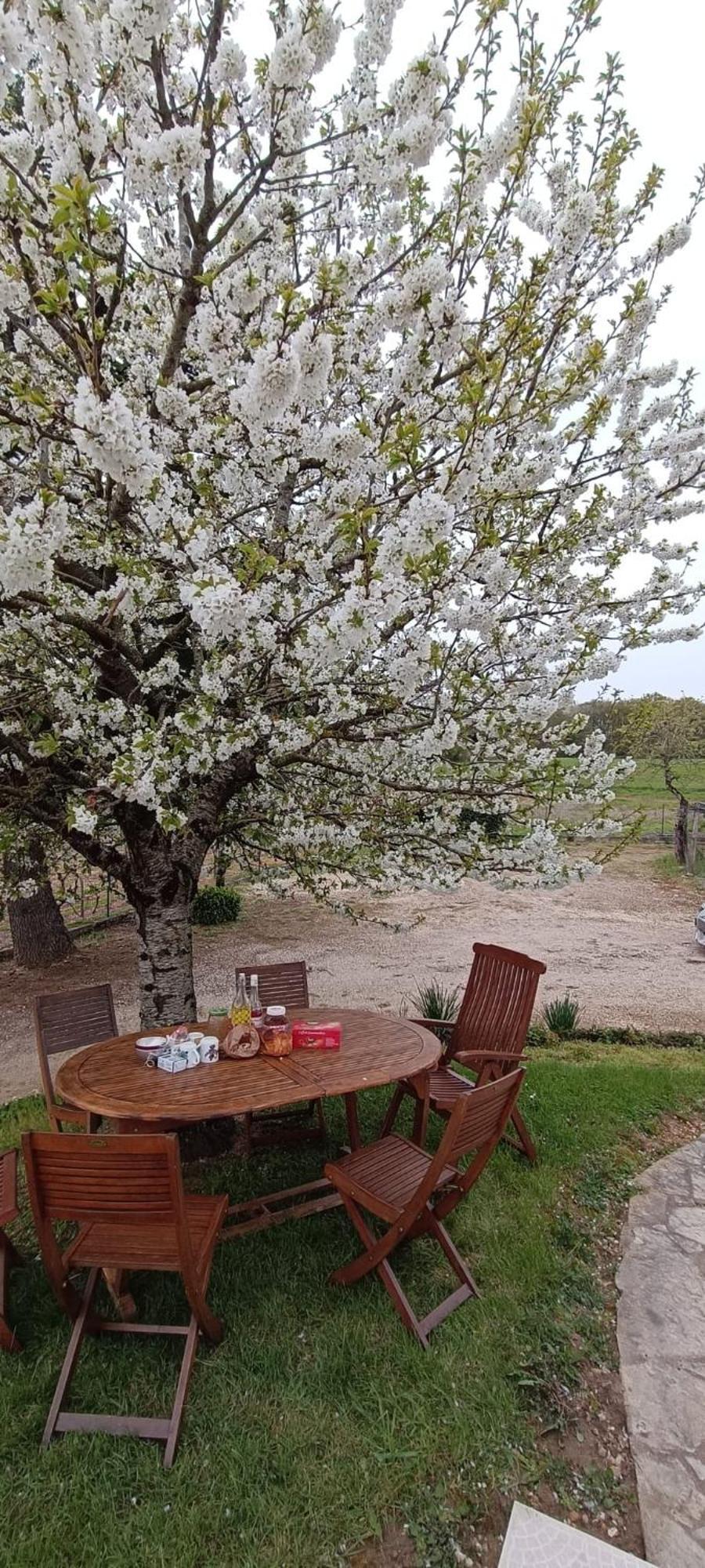 Holiday home Pleine Nature, 10 Min Zoo Beauval Sur Cher
